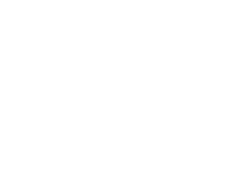 Maestro